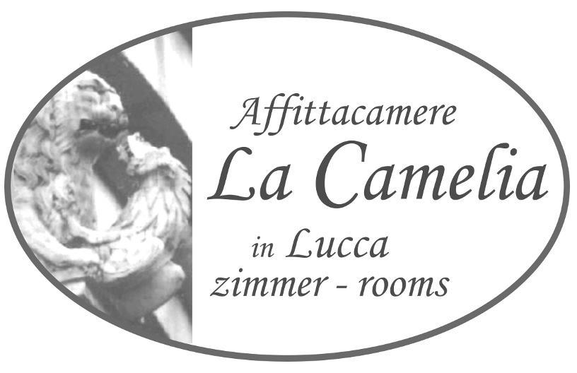 Affittacamere La Camelia Lucca Bagian luar foto